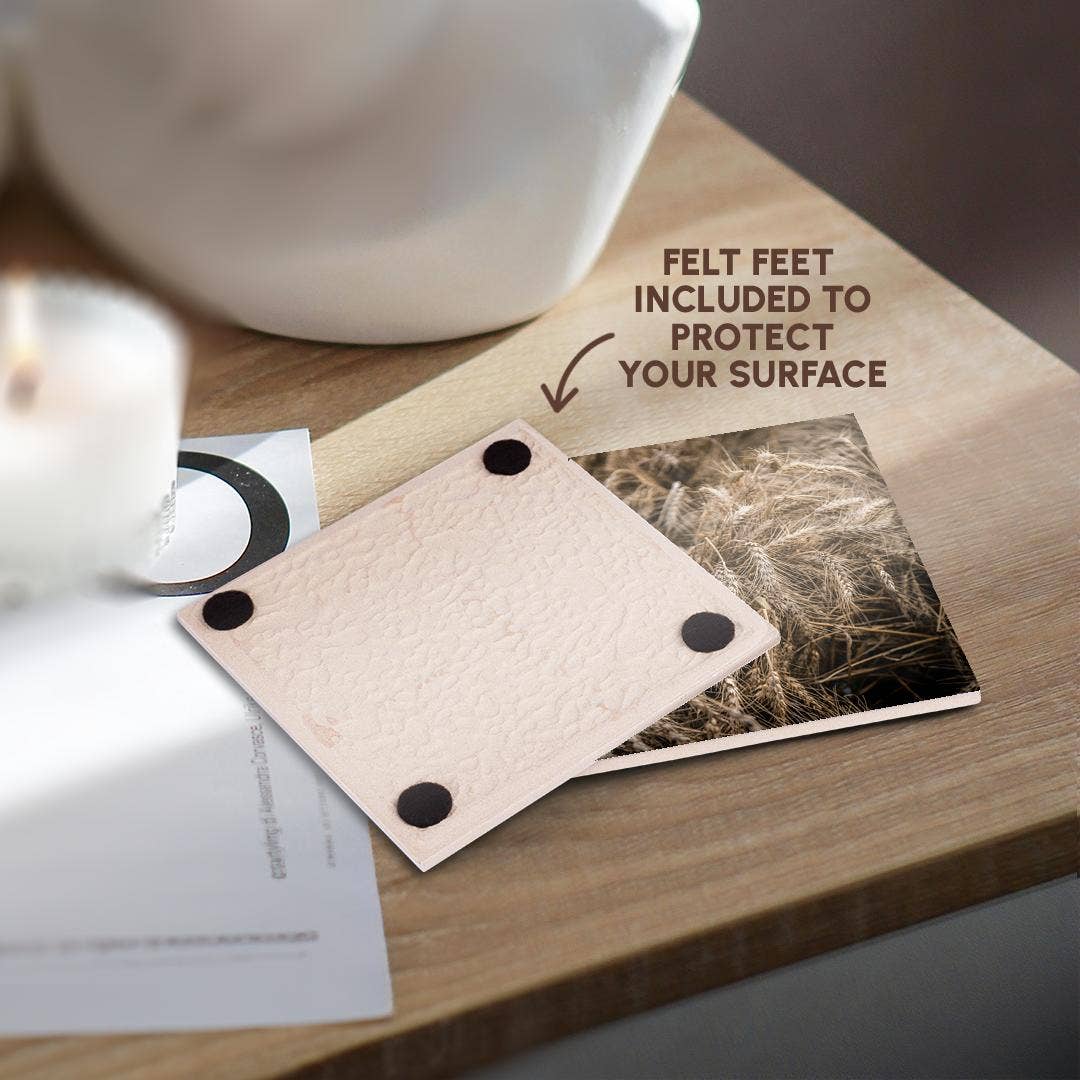 3dRose - Wholesale Onderzetters - 3dRose, Mooie aren van tarwe. Vruchten van de herfstoogst. Thanksgiving-thema, Onderzetter3