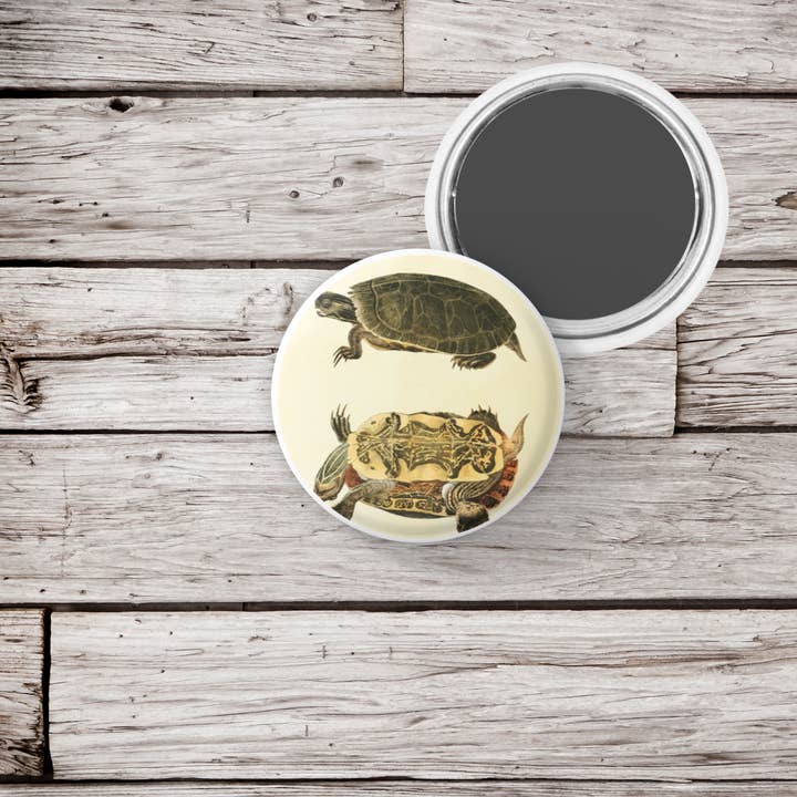 NatureCuts – wholesale Lapel pin/button – Painted Turtle Pin Button, Turtle Keychain, Turtle Magnet1