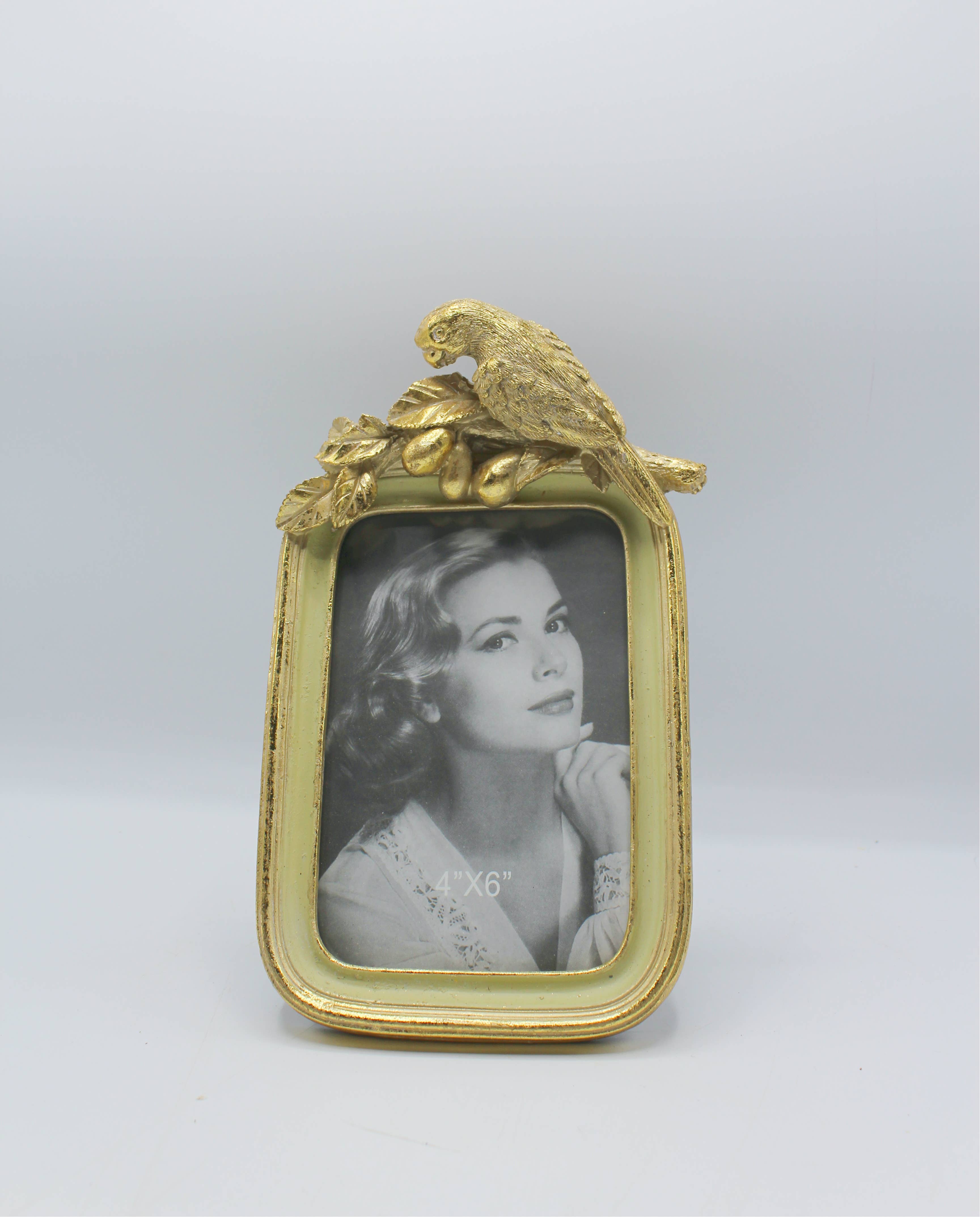 Fioretto Renato S.r.l. - Wholesale Picture Frame - Photo frame with parrot0