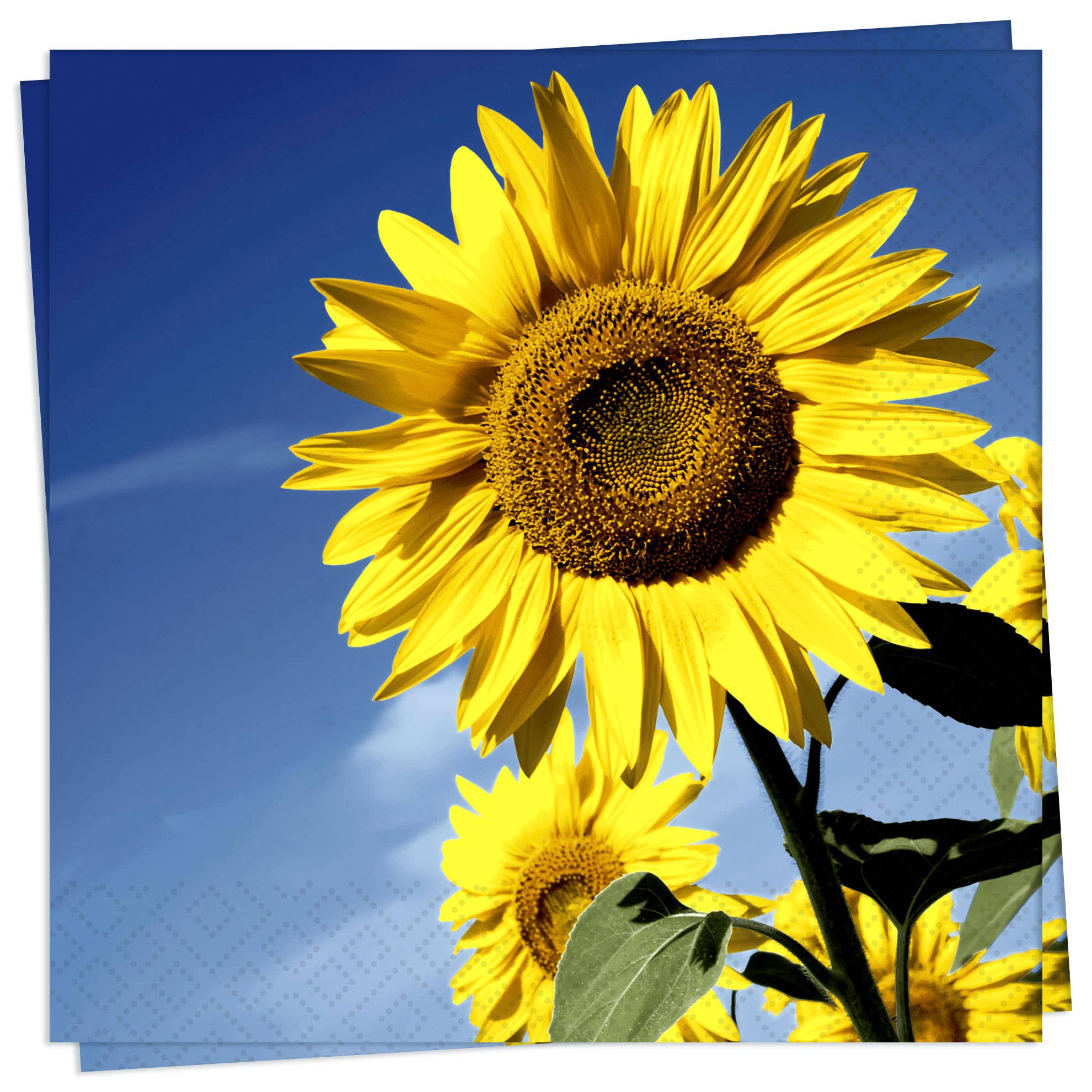 Twilight Collection - Wholesale Disposable Napkin - Sunflower Bloom Luncheon Napkin0