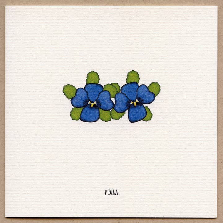 Viola wenskaart - Doos van 10. voor wholesale door Beth Mueller