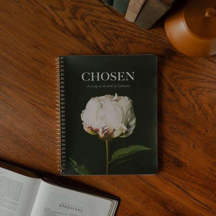The Daily Grace Co - Wholesale Religion - Chosen | Ephesians Study