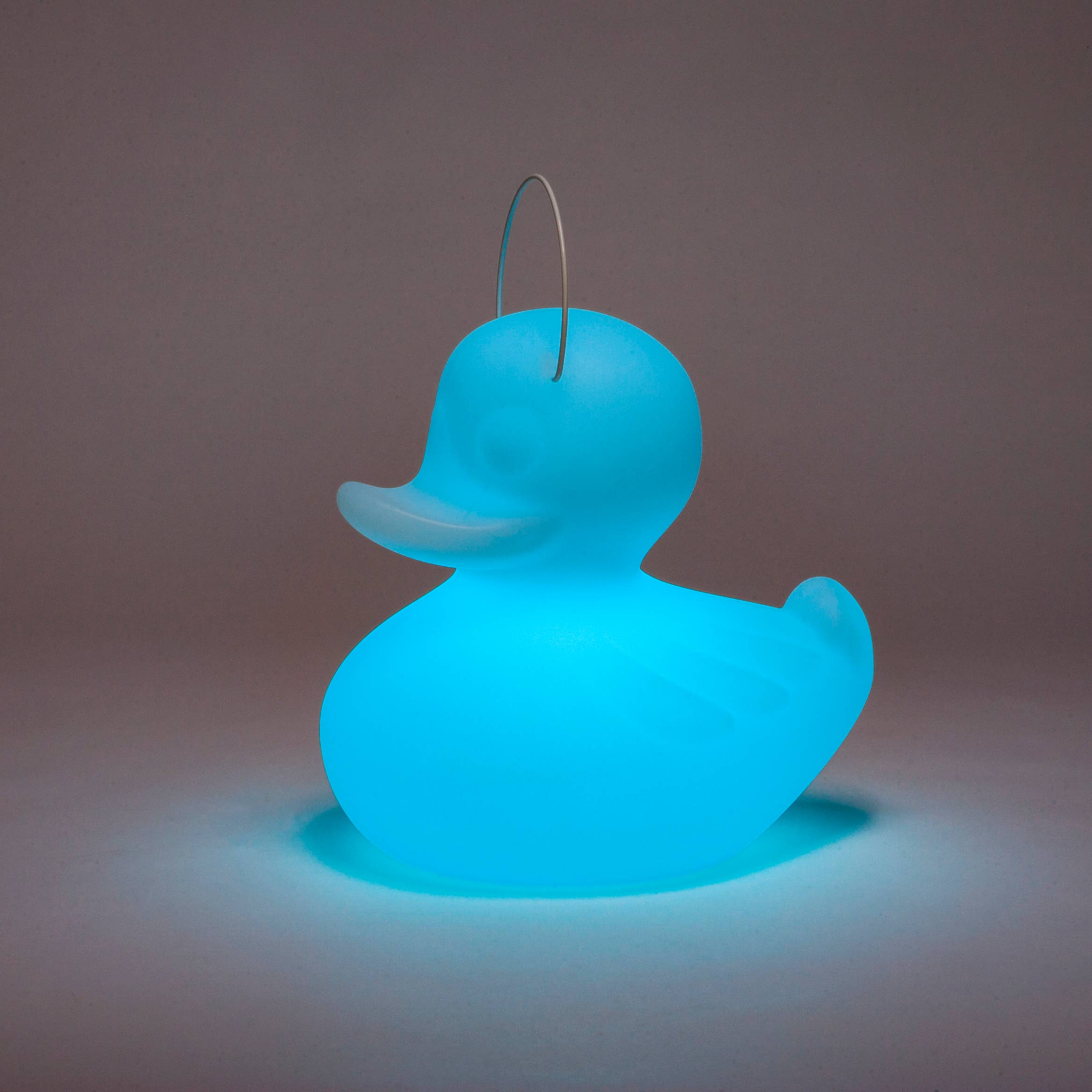 Goodnight Light - Wholesale Accent/Desk Lamp - The Duck-Duck Lamp Small 31cm - floating rechargeable lamp9