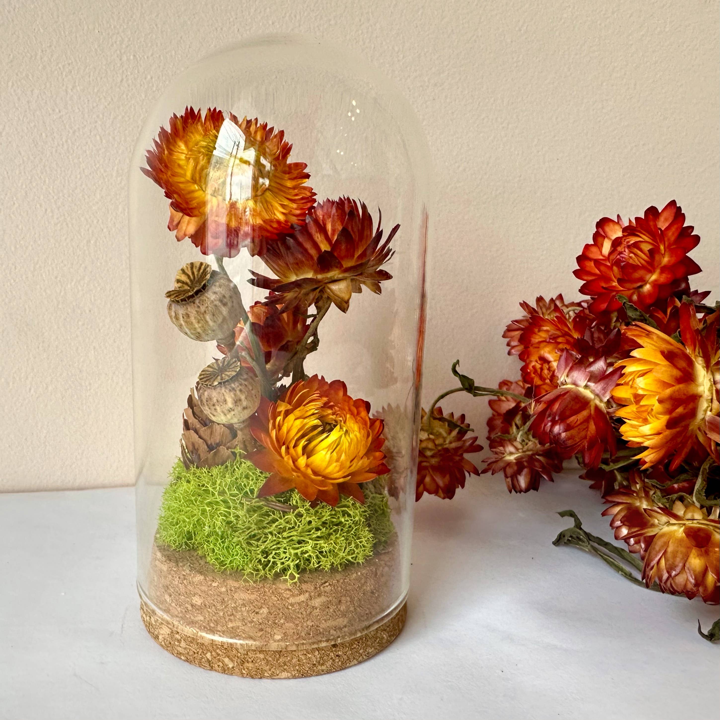 CA Studios - Wholesale Terrarium - Large Botanical Glass Terrarium Jar w. Dried Orange Florals4