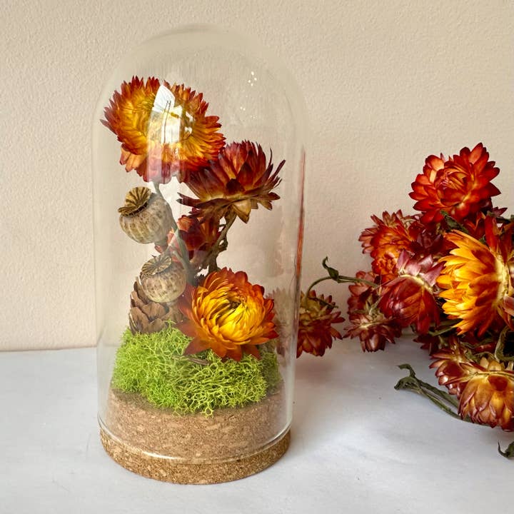 CA Studios - Wholesale Terrarium - Large Botanical Glass Terrarium Jar w. Dried Orange Florals4