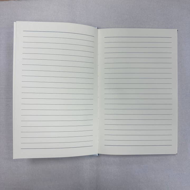 Killerpancake Illustration - Wholesale Notebook - Mothman Notebook3