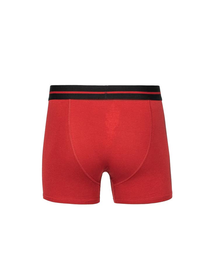 Duck and Cover - Wholesale Underwear - Men's - Scorla Boxers 3pk Olive