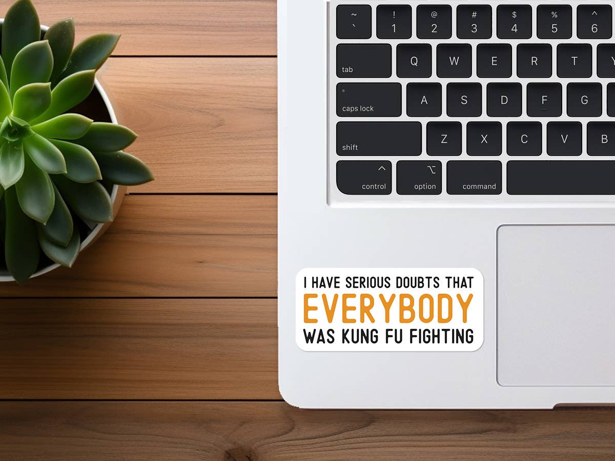 Missional Merch - Wholesale Sticker - Was Everybody Kung Fu Fighting? | Funny Sticker | Waterproof1