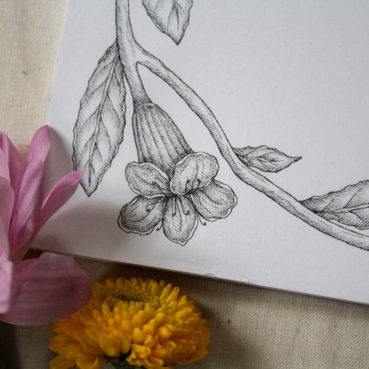 Mackenzie Myrick Studio - Wholesale Notepad - The Hummingbird | Notepad2