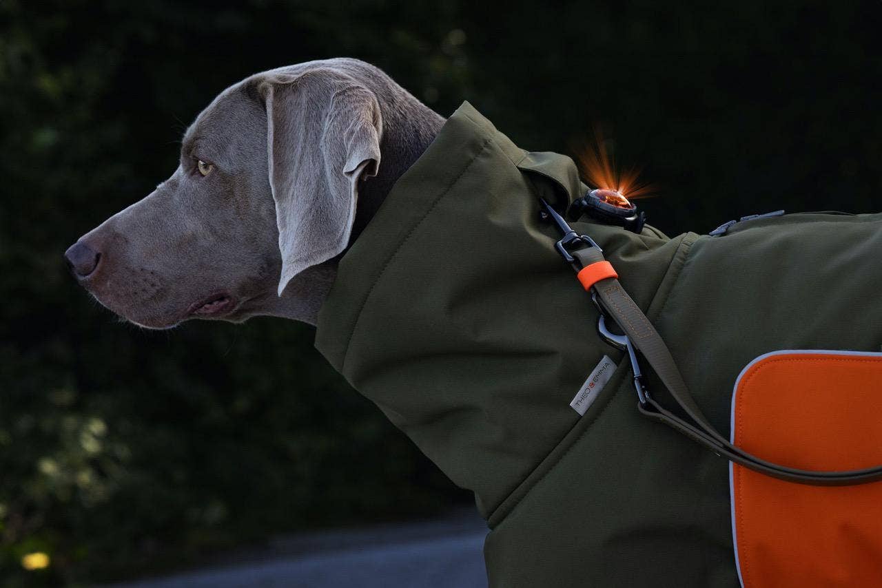 oliven Hundevinterjakke Oskar olive for engroshandel på Faire4