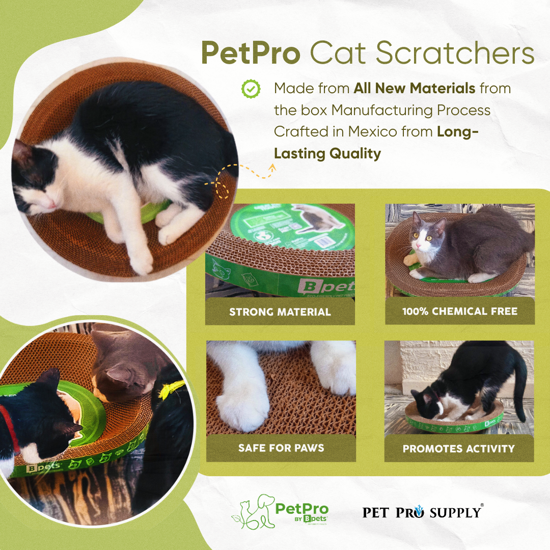 Designer Pet Products, LLC - Vendita all'ingrosso Tiragraffi - Gatti - Grazziapad per Gatti Rotondo – Confezione da 30 Pezzi Resistente7