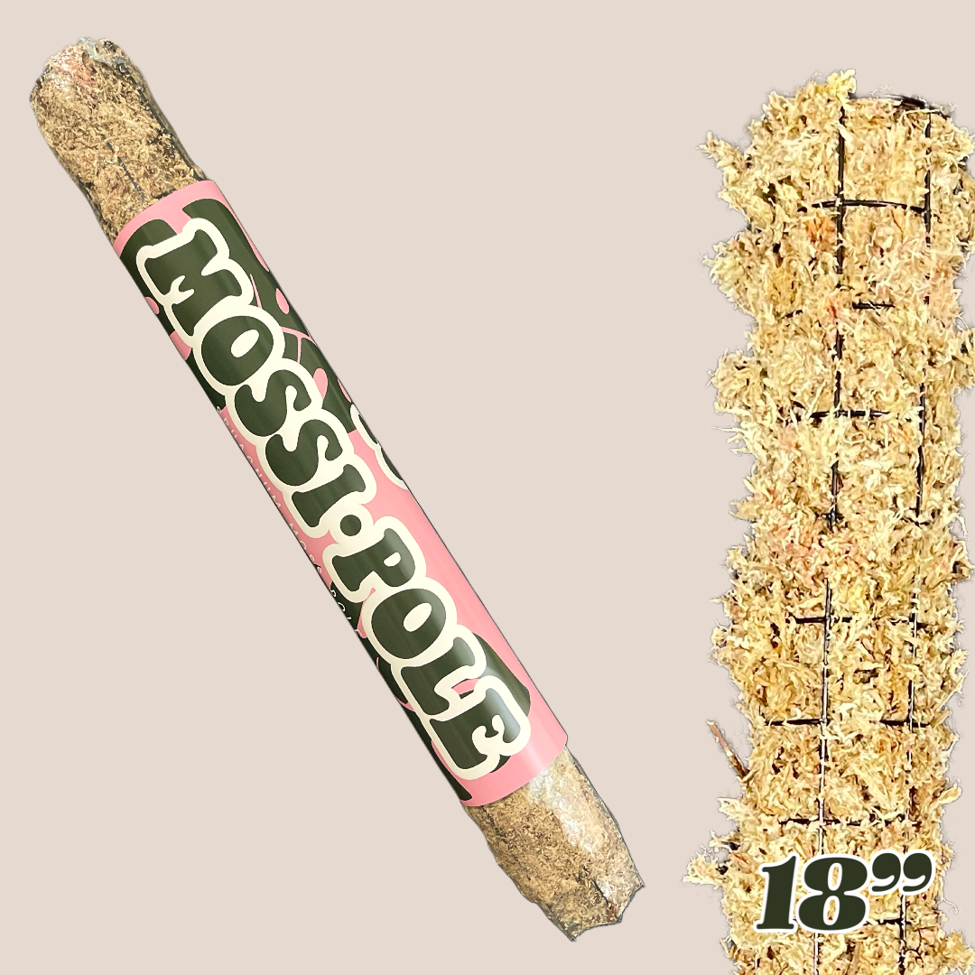 The Lush Studio – wholesale Trellis – Mossi-Pole | Sphagnum Moss Pole3