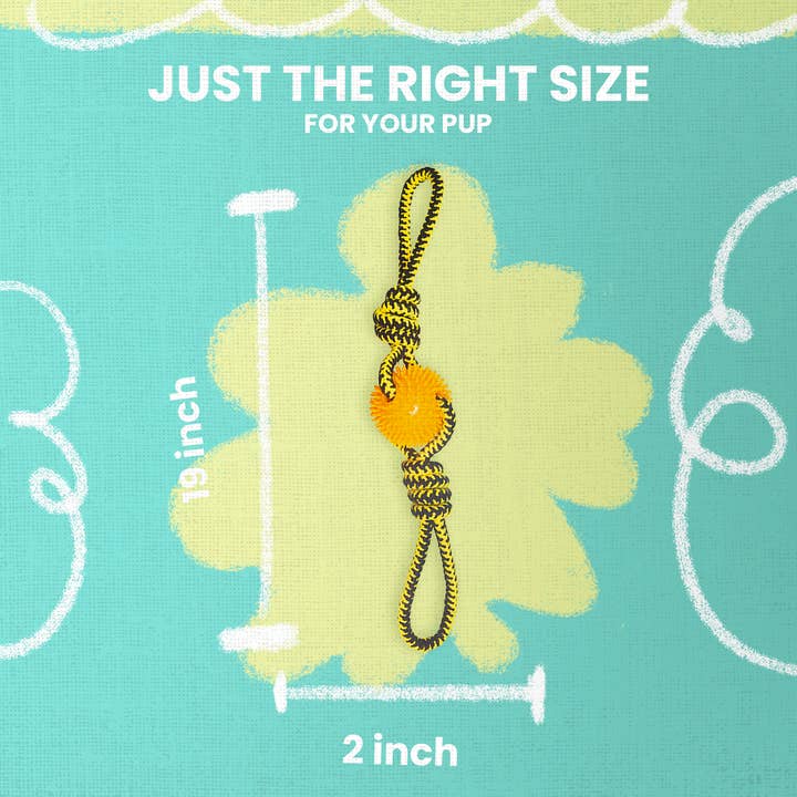 SnugArooz - Wholesale Pet rope toy – Dog - Spikey Baby4
