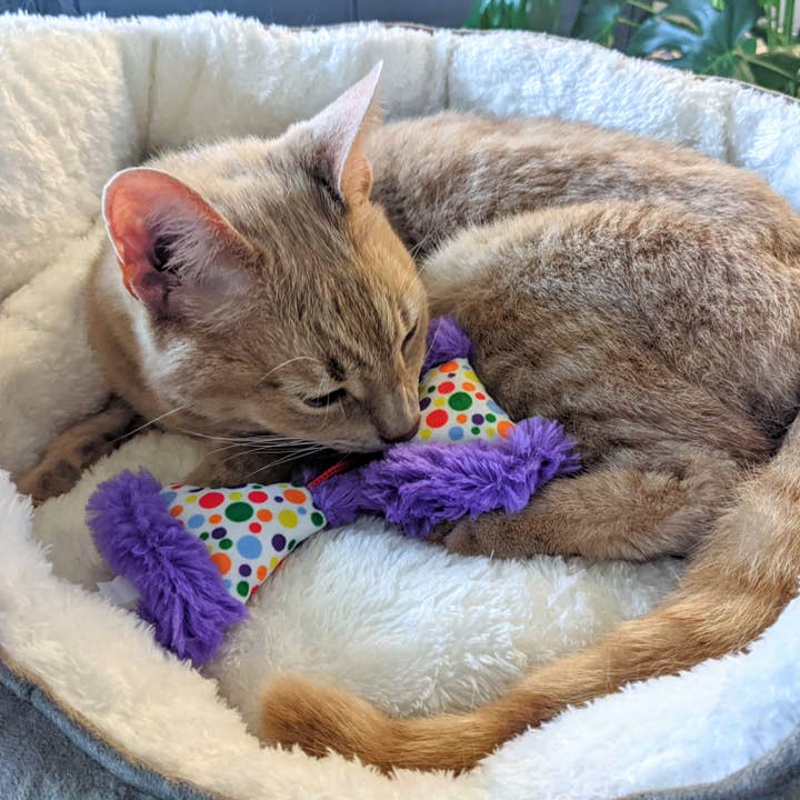 Huxley & Kent - Wholesale Pet Toy - Cat - Party Hats Cat Toy3