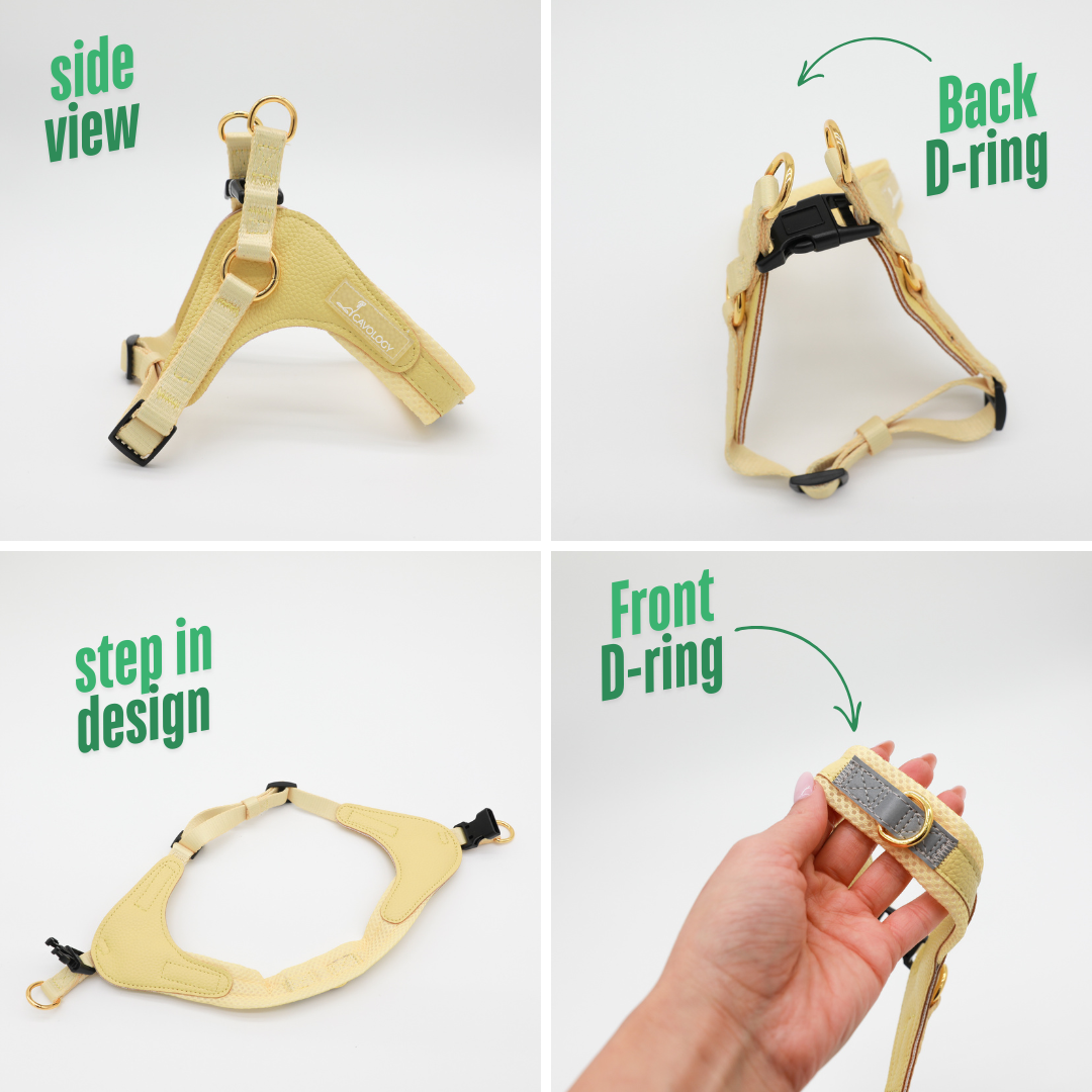 Cavology - Wholesale Pet Harness - Dog - DOG HARNESS STEP IN EASY-O - Butter Yellow1