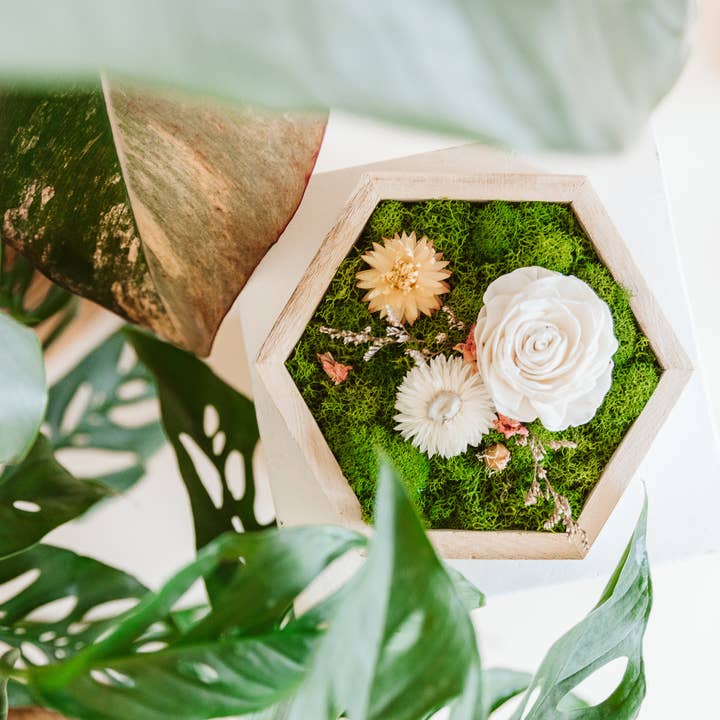 Hexagon Garden for wholesale by Reclaimed Gardens