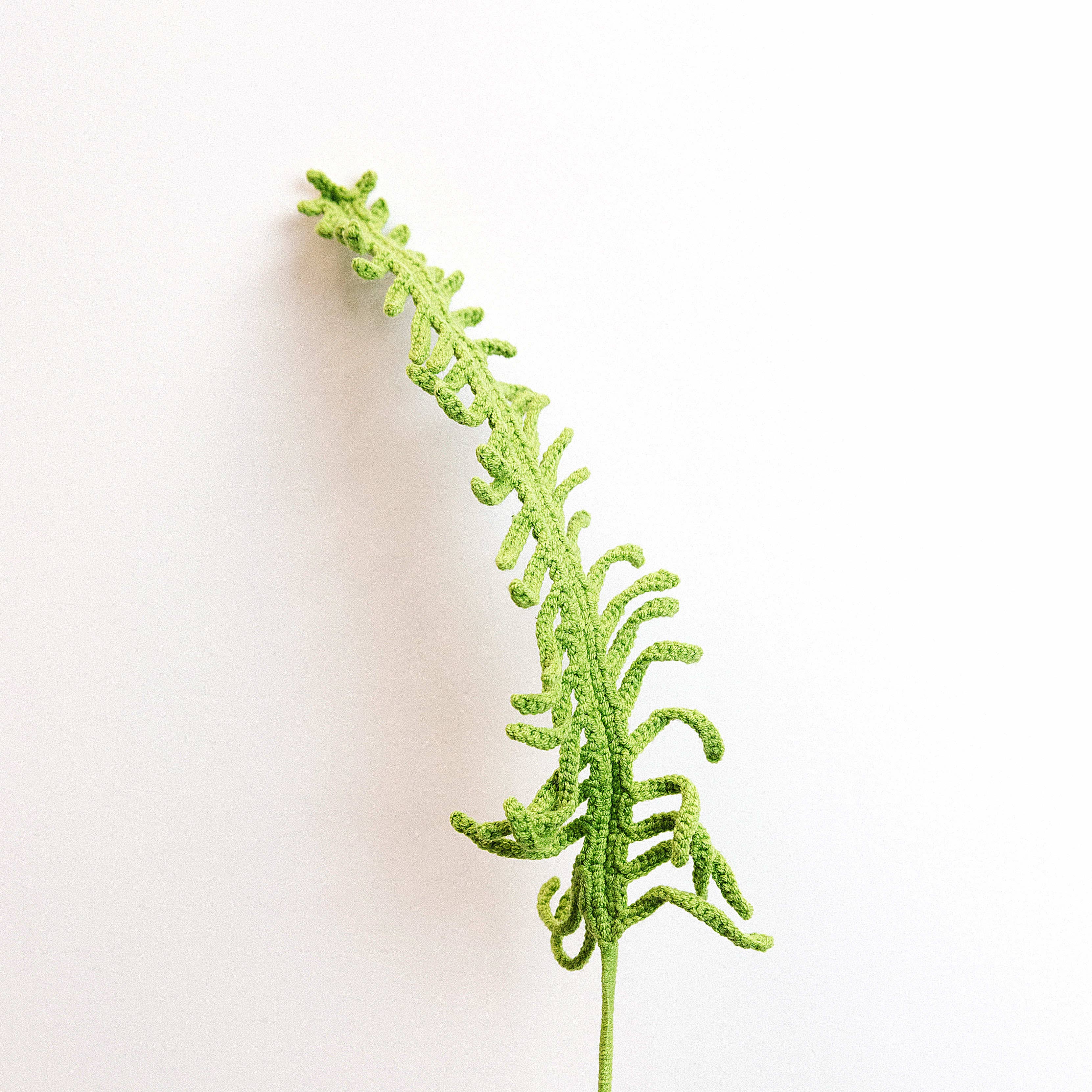 The Way to You – wholesale Artificial flowers – Handmade Crochet Flower- Sword Fern0