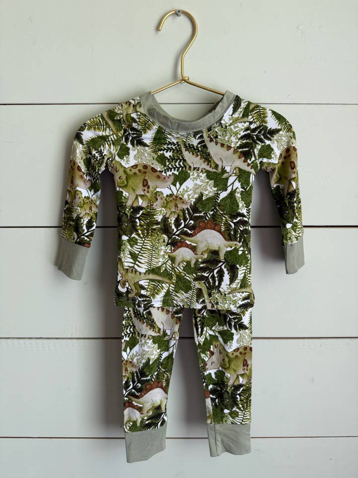 Dino Two-Piece Pajama Set for wholesale by Carol Bear Apparel