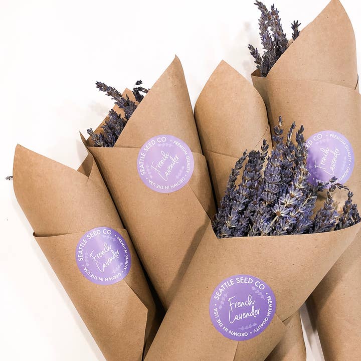 Fragrant Dried Grosso French Lavender Flowers Home Decor for wholesale by Seattle Seed Co.