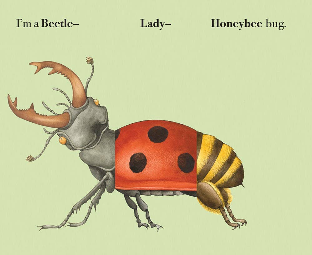 W. W. Norton - Wholesale Coloring & Activity Book - Kids & Baby - Build-A-Bug3