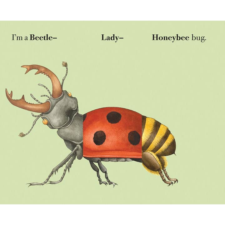 W. W. Norton - Wholesale Coloring & Activity Book - Kids & Baby - Build-A-Bug3