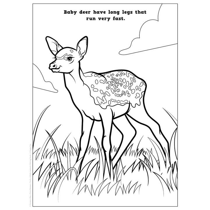 Wellspring - Vendita all'ingrosso Libro da colorare e attività - Bambini e neonati - Libro da colorare - Coniglietti, anatre e cuccioli2