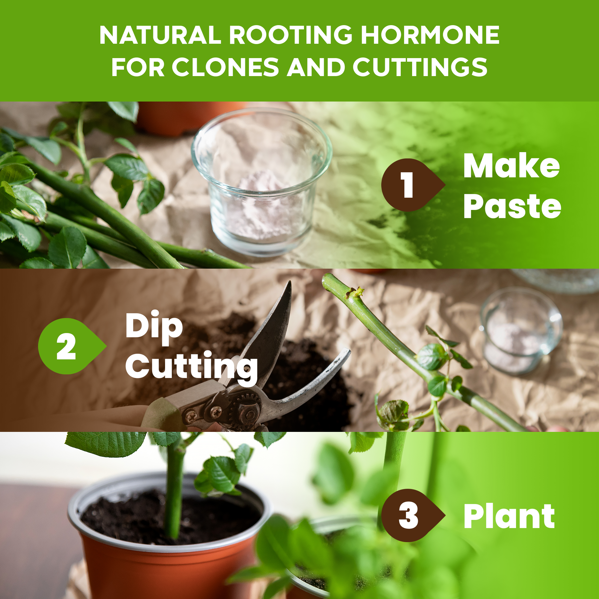 Big Foot Microbes - Wholesale Fertilizer - Natural Rooting Powder and Pea Inoculant, 2 oz case 20 units7