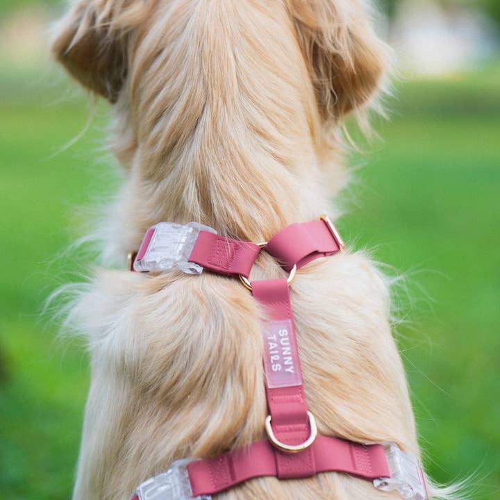 SUNNY TAILS - Wholesale Pet harness – Dog - Mulberry Burgundy Cloud Lite Dog Harness6