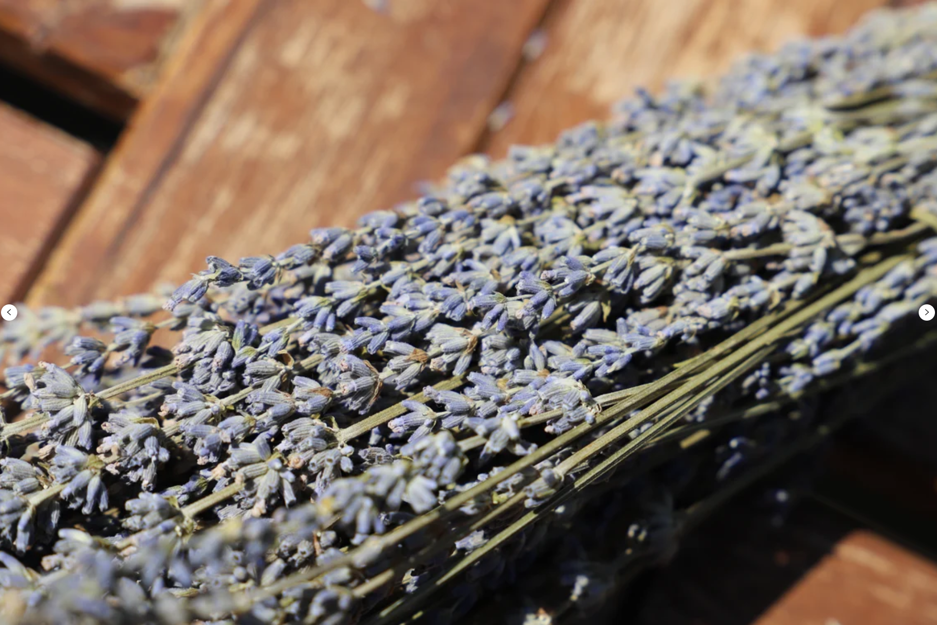 Kunstharz.Art – Flores secas/prensadas por atacado – Lavanda Seca com Aroma Simpático para Decoração e como Presente5