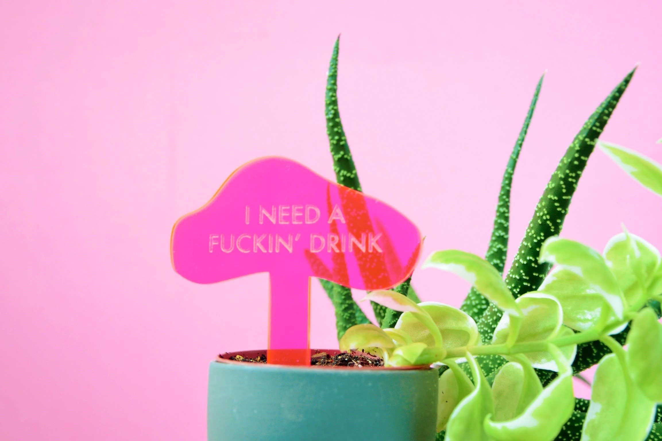 Tuff Girl Gang - Wholesale Plant Pot - I NEED A FUCKIN' DRINK Neon Pink Plant Stake4