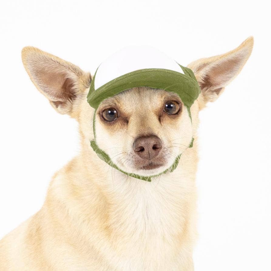 PupLid – wholesale Hatt - Hund – Blank Foam truckerkeps för hundar2