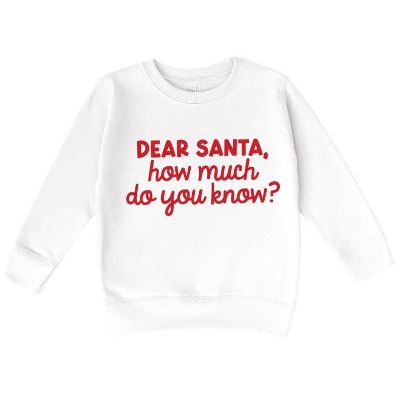 Bump & Beyond Designs - Wholesale Shirt - Kids - Funny Dear Santa Christmas Sweatshirt for Kids2