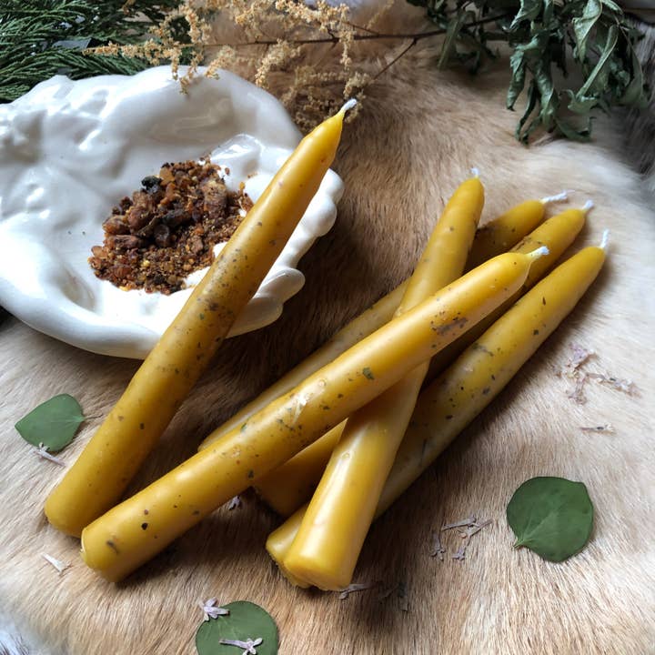 Moth and Candle - Wholesale Tapered Candle/Candlestick - Cozy Handmade Beeswax Botanical 6" Taper Candle: Compassion1