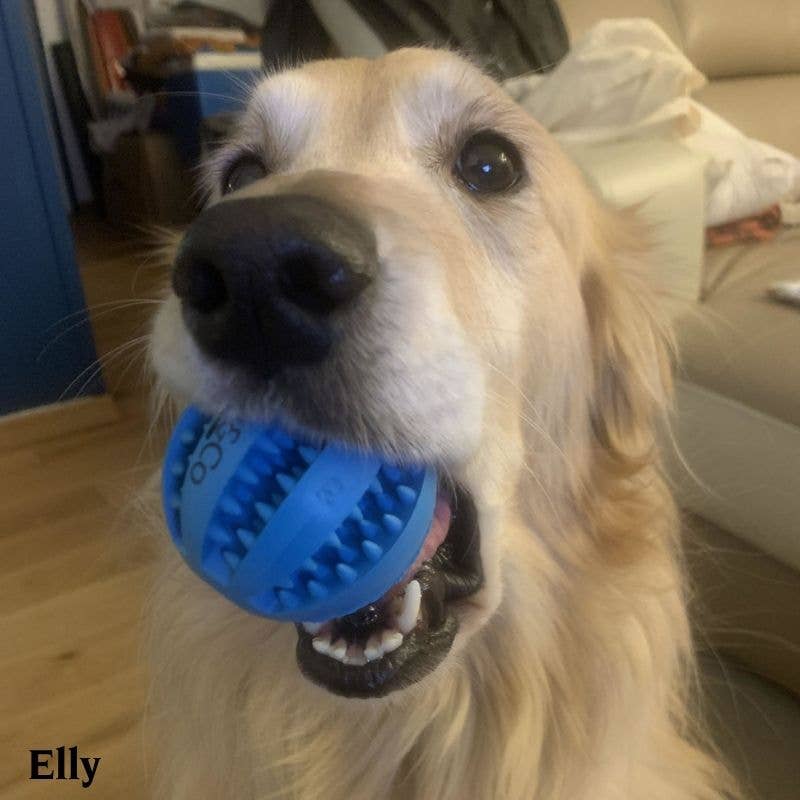 Oria & Co - Wholesale Pet Chew Toy - Dog - Chew ball2