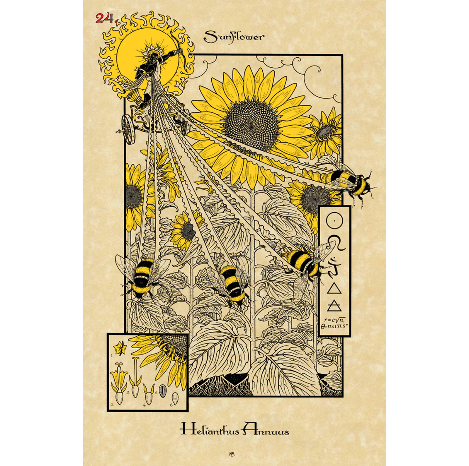 Cardshouse - Wholesale Tarot Cards - The Magickal Botanical Oracle Cards Lo Scarabeo5