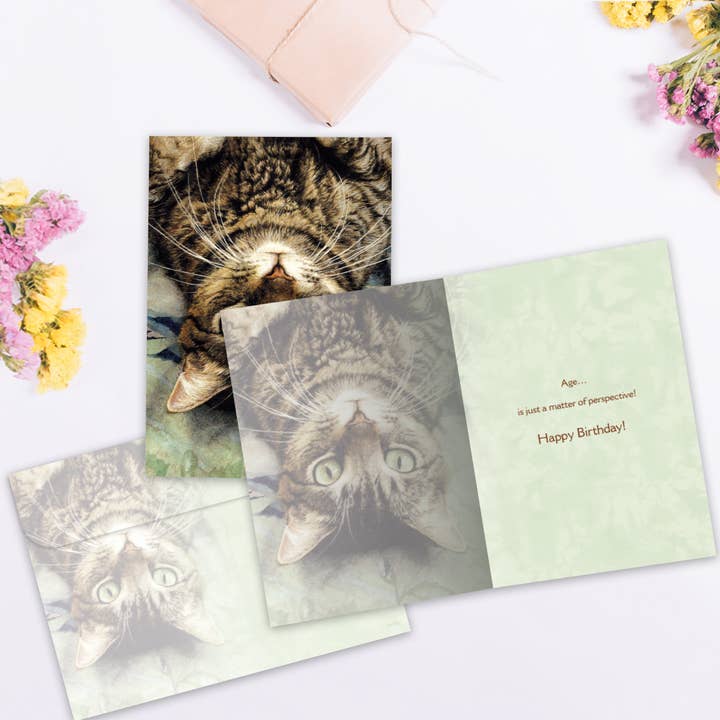 Tree-Free Greetings - Wholesale Birthday Card - Perspective Birthday Card 6 Pack