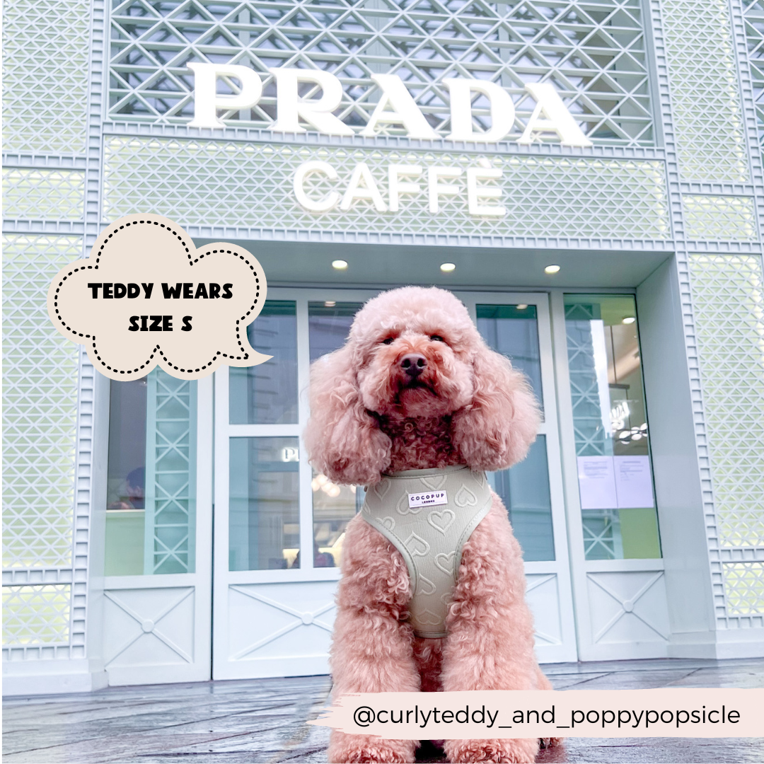 Cocopup London - Wholesale Pet Harness - Dog - Luxe Adjustable Neck Harness - Sage Heart14