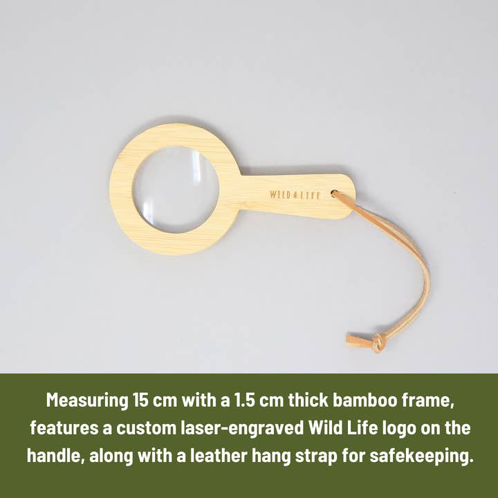 Wild Life Outdoor Adventures - Wholesale Magnifying Glass - EYE SPY Eco-Bamboo 5x Magnifying Glass