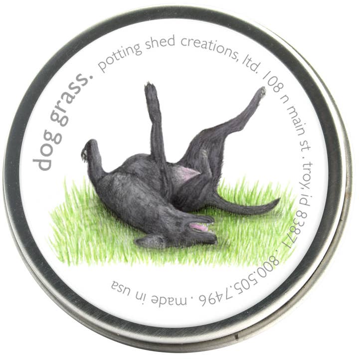 Potting Shed Creations, Ltd. - Wholesale Pet Toy - Cat/Dog - Pet Garden Sprinkle Pail | Best Seller