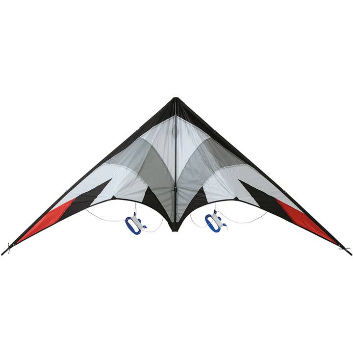 Drachen 120 x 60 cm 2 Griffe für den Großhandel von WDK GROUPE PARTNER