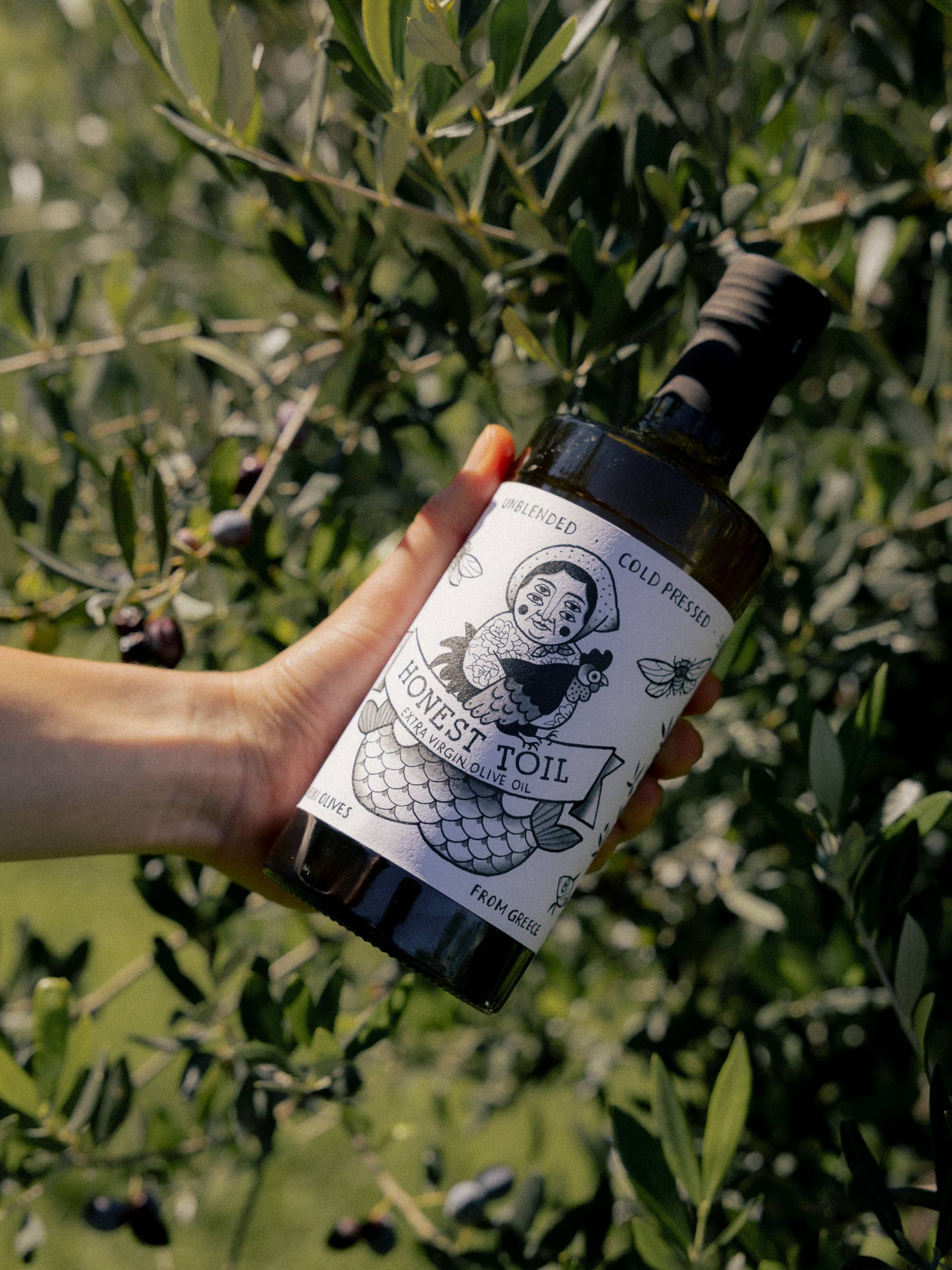 Honest Toil UK - Wholesale Olive Oil - 500ml bottle extra virgin olive oil - Nov 2025 Harvest3