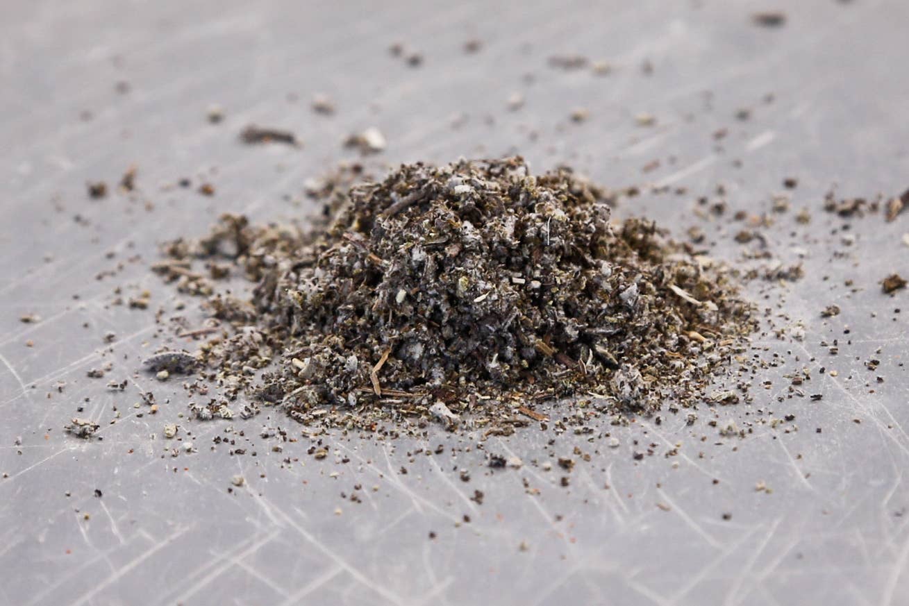 Spicewalla - Vente Marinades en poudre - Sauge, frottée3