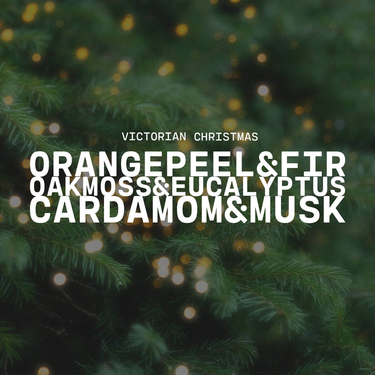 Milkhouse Candle Company - Wholesale Jar/Filled Candle - 16 oz Butter Jar Candle: Victorian Christmas3