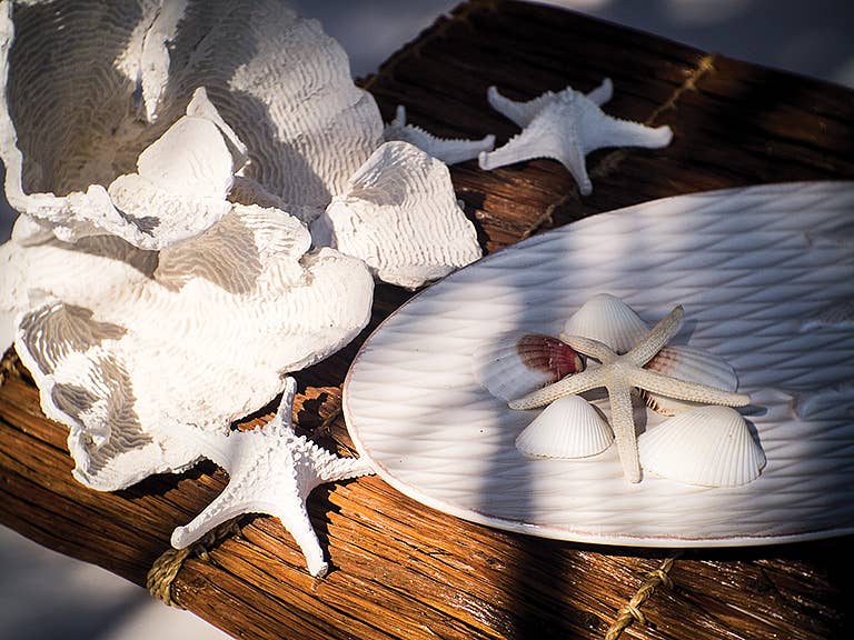 Abbott - Wholesale Decorative Tabletop Object - Lg White Flower Coral-9"W-2831