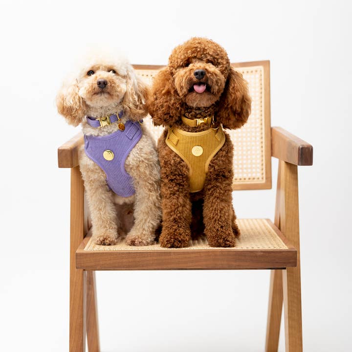 Moniandme - Wholesale Pet Harness - Dog - DOG SOFT HARNESS PASTEL LILAC3