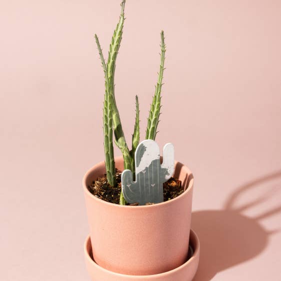 PlantDoc - Wholesale Garden Tool - Single PlantDoc - Cactus