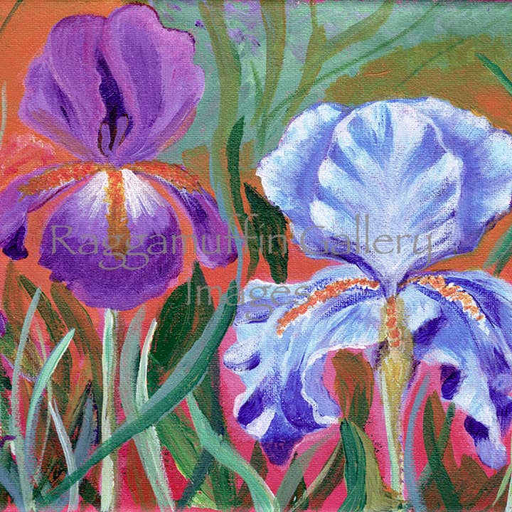 Iris Selva por atacado de Raggamuffin