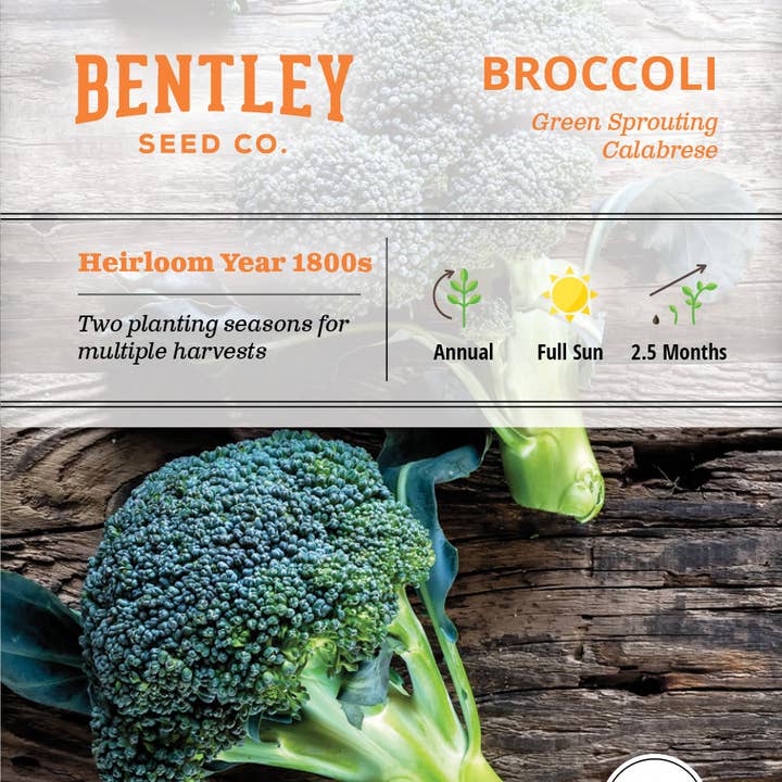 Bentley Seed Co. - Wholesale Plant Seeds - Broccoli-Green Sprouting Calabrese