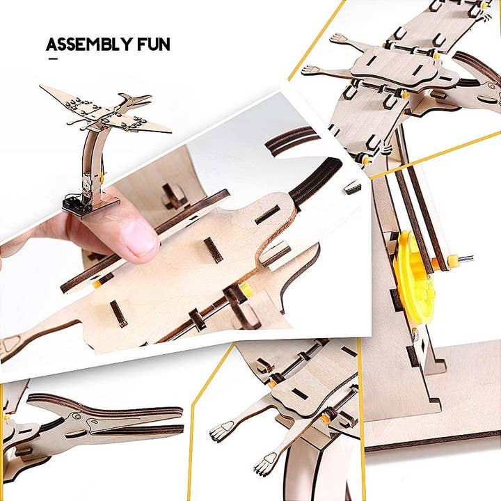 Texas Toy Distribution - Vente Kit de bricolage – enfant - Kit de montage puzzle électrique DIY Ptérosaure – 82 pièces5