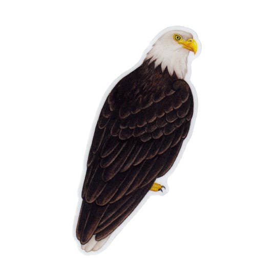 Bald Eagle Vinyl Bird Sticker for wholesale by Kate Dolamore Art